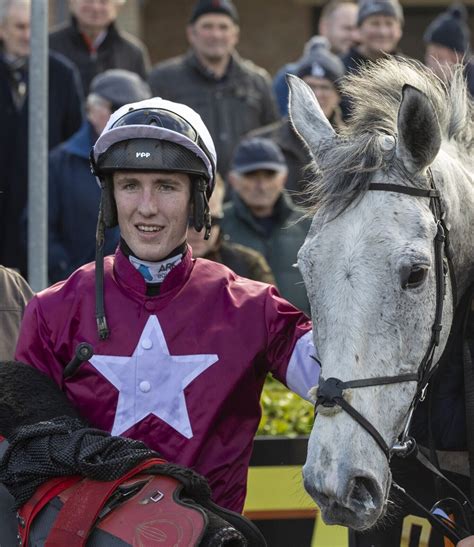 punchestown news|News & Info .